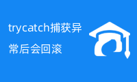 try catch捕获异常后会回滚吗