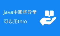 java中哪些异常可以用throw抛出