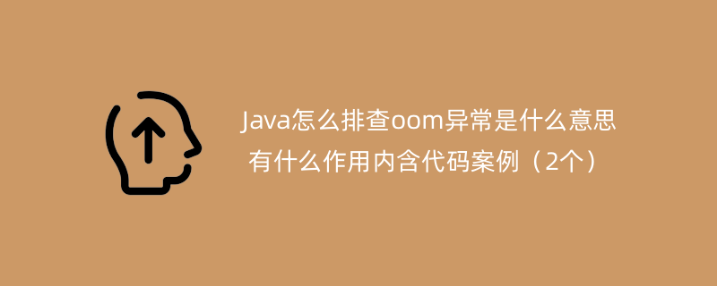 Java怎么排查oom异常