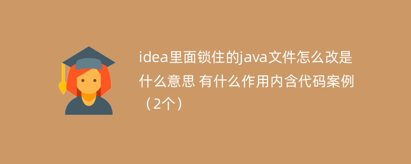 idea里面锁住的java文件怎么改