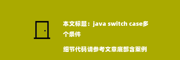 java switch case多个条件