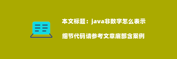 java非数字怎么表示