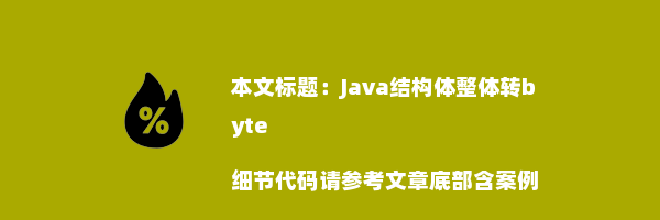 Java结构体整体转byte