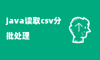 java读取csv分批处理