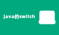 java的switch