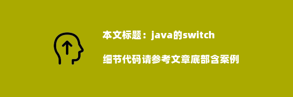 java的switch