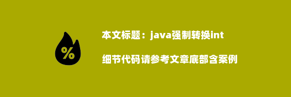 java强制转换int