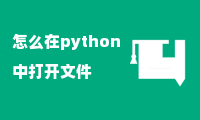 怎么在python中打开文件